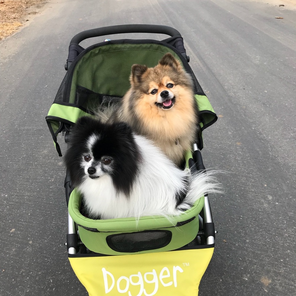 Meet your Posher, Staci